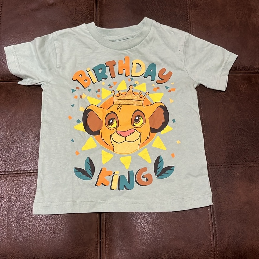 Toddler assorted graphic tees (lot of 13) - Picture 4 of 4